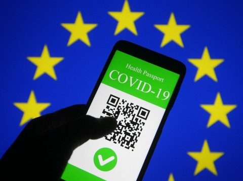 Dal 15 ottobre obbligo di Green pass anche per coloro che lavorano a sostegno delle famiglie