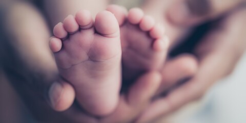 Contro il calo delle nascite, il Governo prepara un piano natalità